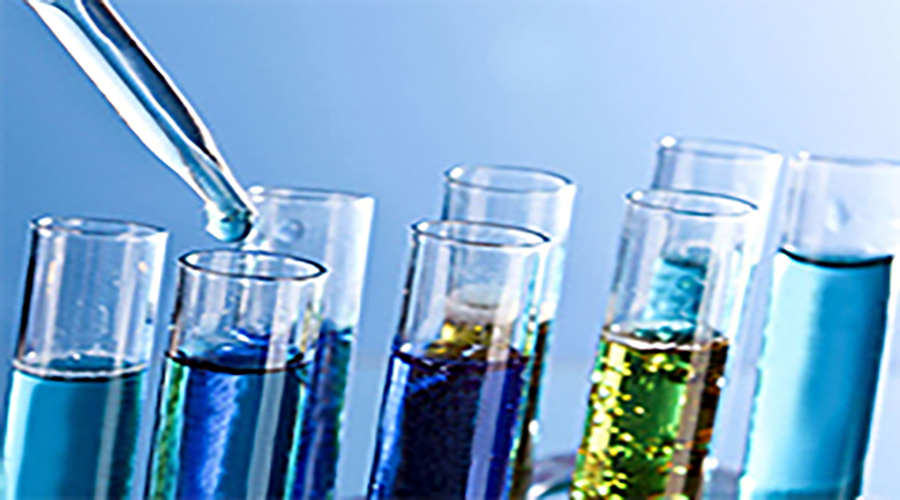 Purified Terephthalic Acid (PTA)