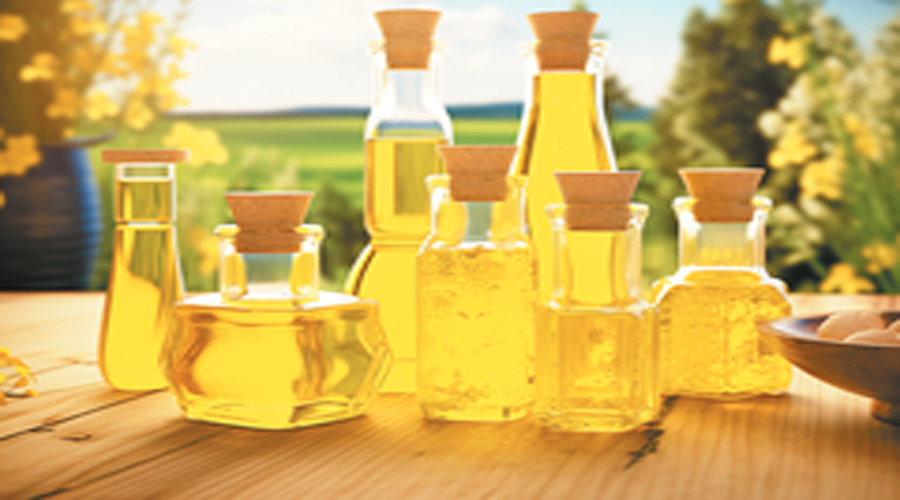Vegetable Oil